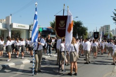 313423341_567616698700870_5673857606326254464_n