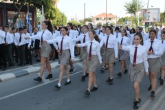 313424847_567617388700801_1823071588410197619_n