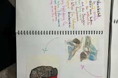 355137102_760259979436540_510796662893996425_n