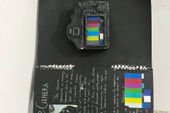 355468042_760259686103236_4440856109557075674_n