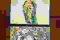 406522836_875657697896767_5190146341832935809_n