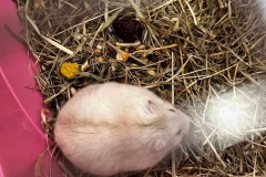 315595146_584746946987845_4815474979348178652_n