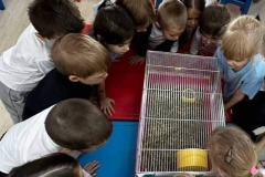 315642076_584746526987887_5300491232592981461_n