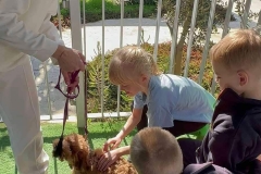 315735641_584746696987870_2435631649653518442_n