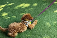 315774478_584746800321193_5918641876671814254_n