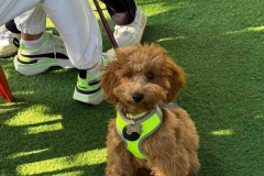 316038717_584746620321211_8861510708720225696_n