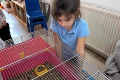 316128323_584746986987841_82605408866387721_n