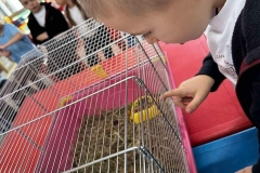 316174406_584746840321189_2005106328426751168_n