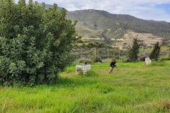 Allassia-paintball-in-Alassa-18