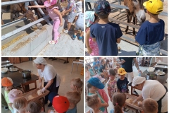 Amazing-trip-to-the-Donkey-Farm-2