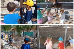 Amazing-trip-to-the-Donkey-Farm-6