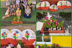 American-Academy-Primary-11