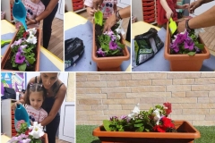 American-Academy-Primary-13