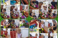 American-Academy-Primary-4