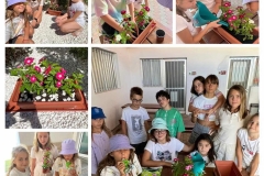 American-Academy-Primary-5