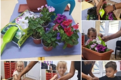 American-Academy-Primary-6