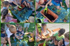 American-Academy-Primary-8