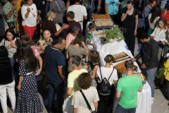 308490721_531561725639701_7519734214609550404_n