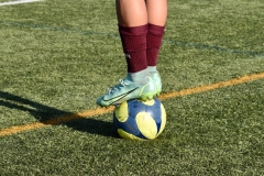 American-Academy-vs-Logos-3