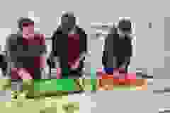 424632167_914744977321372_8585645090355439661_n