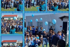 primary-school-3