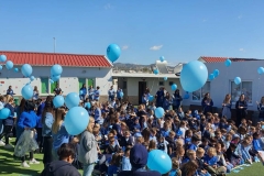 primary-school-39
