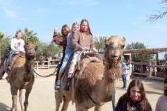 Camel-Park-1