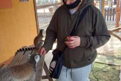 Camel-Park-13