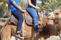 Camel-Park-14