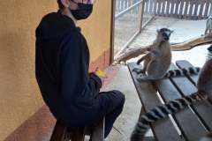 Camel-Park-15