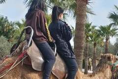 Camel-Park-17