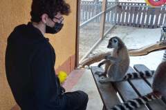 Camel-Park-19