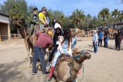 Camel-Park-21