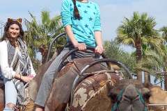 Camel-Park-23