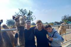 Camel-Park-5