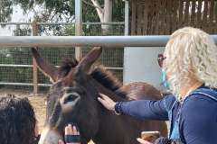 Camel-Park-6