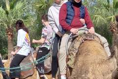 Camel-Park-8