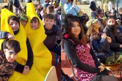 275197406_5270819906274778_8396815729535352567_n