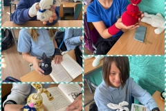 1_340018570_141285102235933_5652515888003891886_n