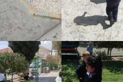 340108832_582192123665362_1458623250932449487_n