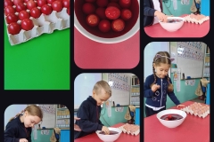 340226382_1006727014038822_1629680028688870026_n