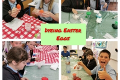 340242451_1918206905227514_383511924108772258_n