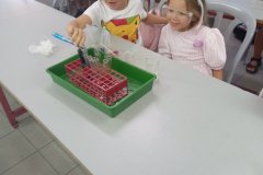 chemistry-experiment-6