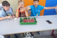 chemistry-experiment-7