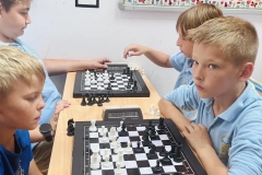 355156099_761700699292468_304582798306717007_n