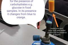 272748055_5149751355048301_4058621378067806725_n