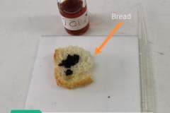 272848880_5149751348381635_7991844799880936779_n