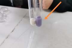 272849170_5149751288381641_2277349946123280543_n