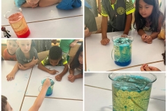 Cooking-chess-science-and-lego-sessions-10