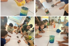 Cooking-chess-science-and-lego-sessions-4